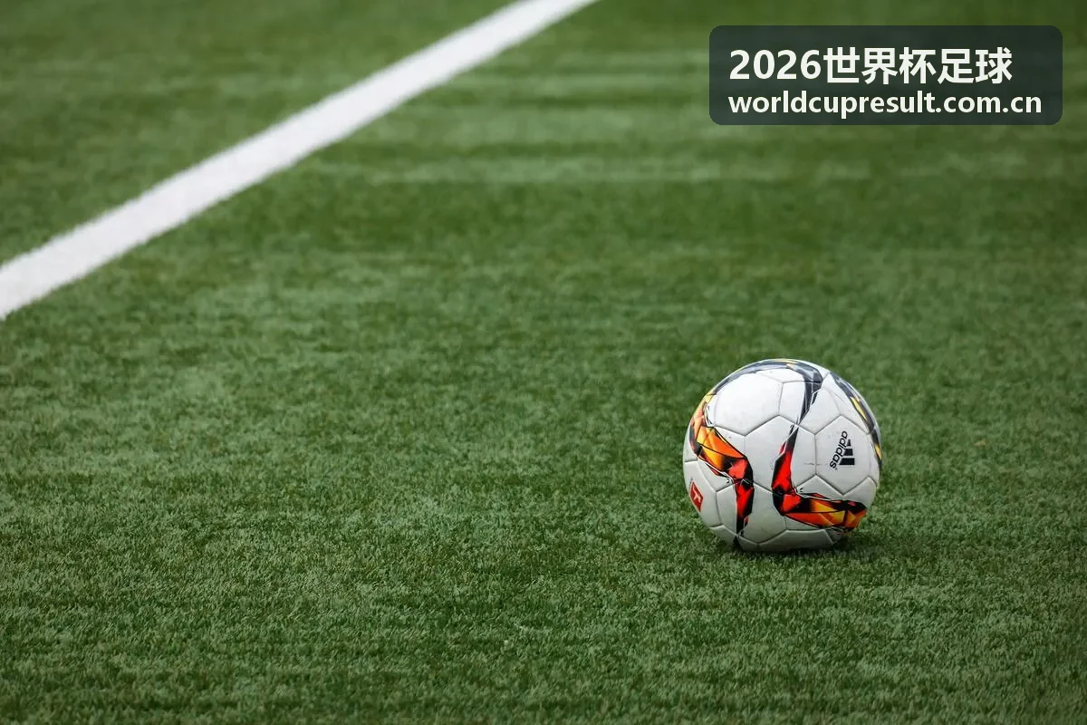 2026世界杯足球巴西国家队阵容